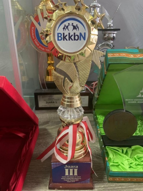 Penghargaan Juara 3 Lomba KB Lestari 15 Tahun