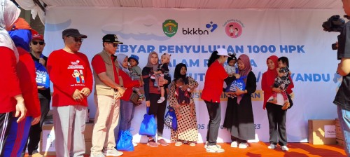 Gebyar Penyuluhan 1000 HPK